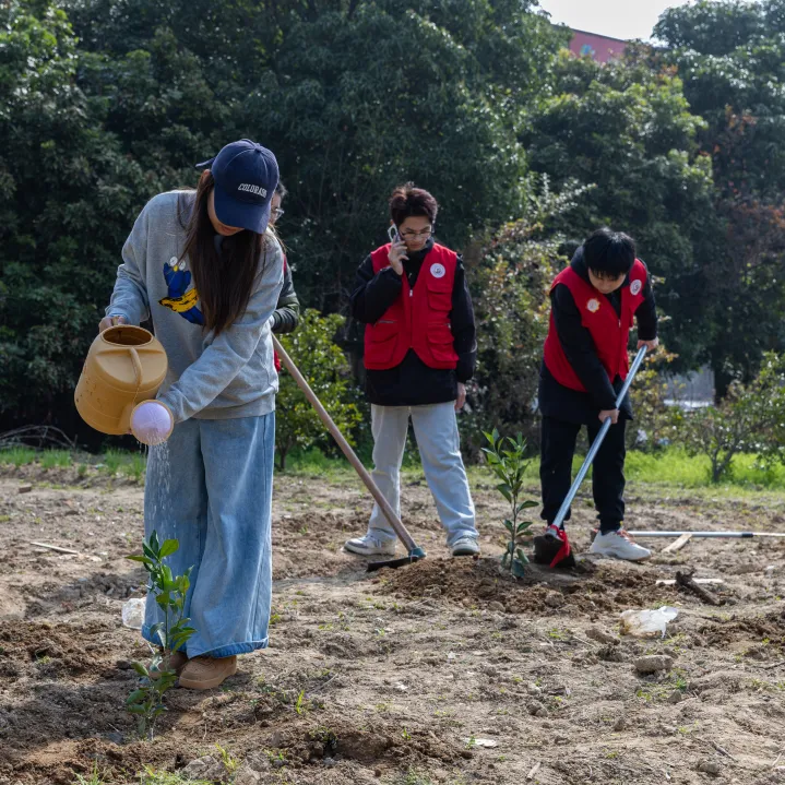 图片 26.png 图片 26.png