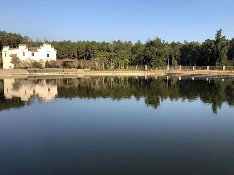 微信图片_20231025145822.jpg 微信图片_20231025145822.jpg